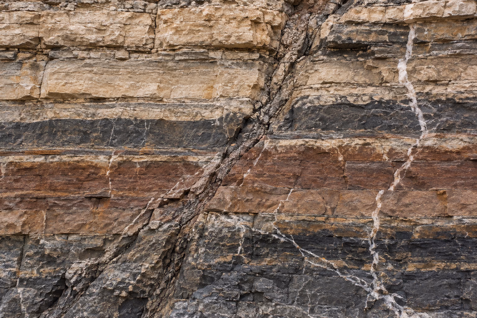 Bedded rock read in section: dark carbonate banding crossed by a bright calcite seam.