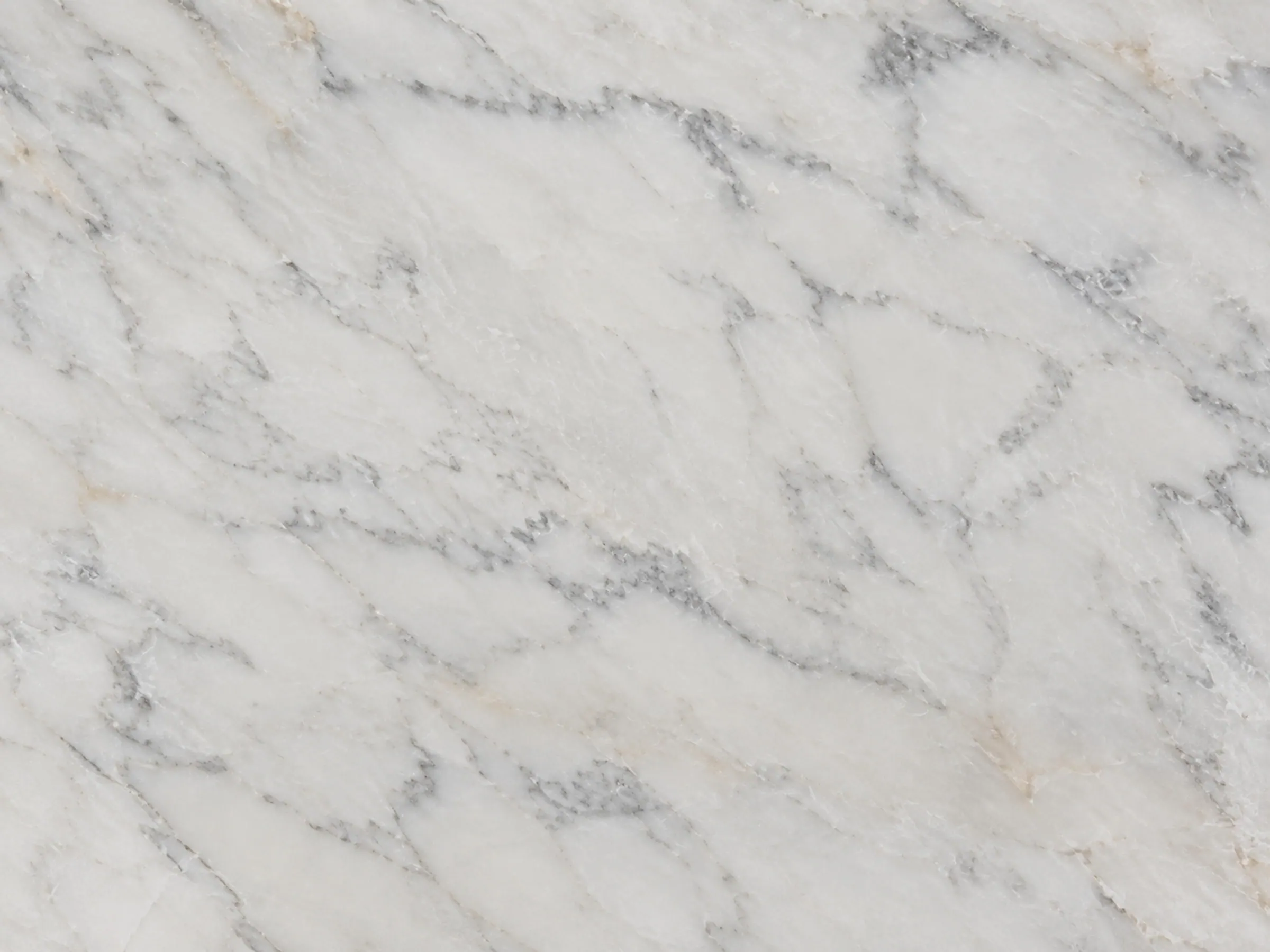 Texture — BIANCO ALGERIA