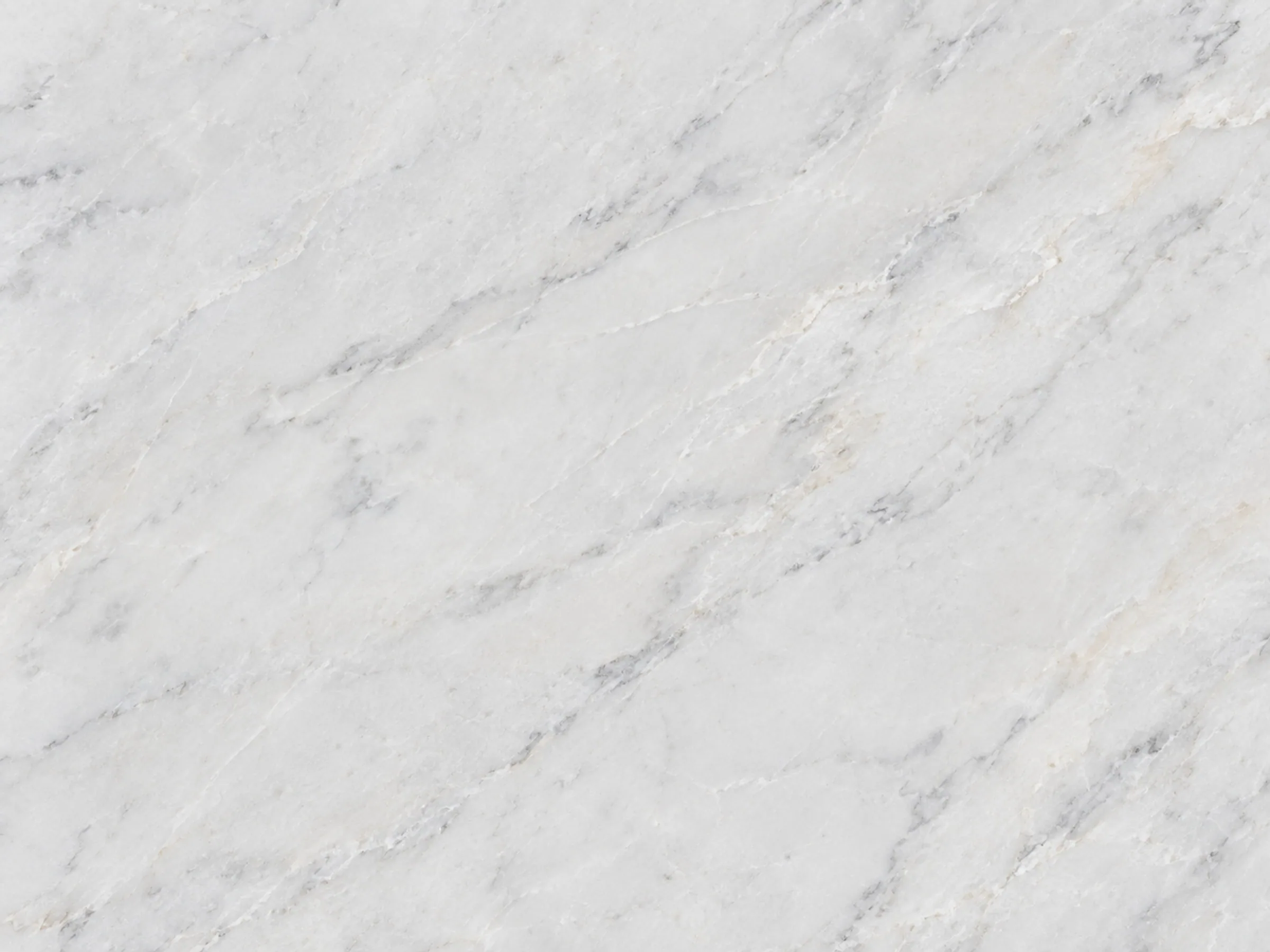 Macro texture of BIANCO FILFILA