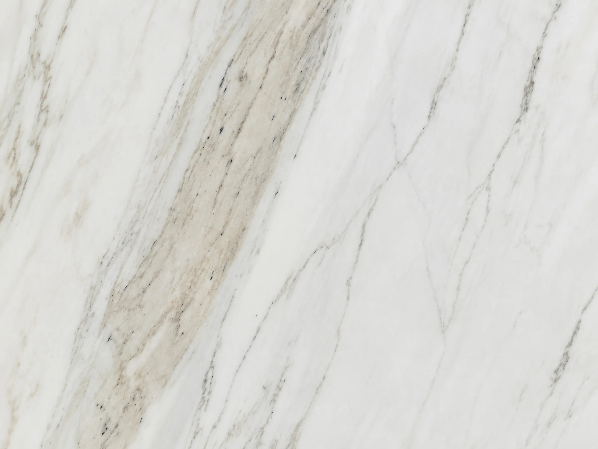 Macro texture of BIANCO PERLA FILFILA