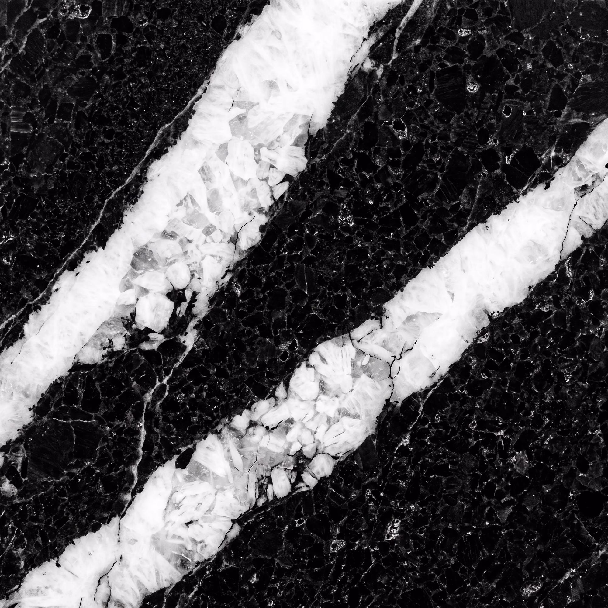 Macro-texture di BLACK ALGERIA